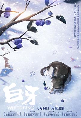 法律与秩序：特殊受害者第十一季