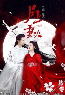 午夜天鹅