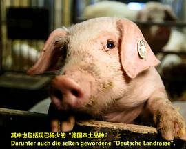 博尼法斯修女探案集第二季