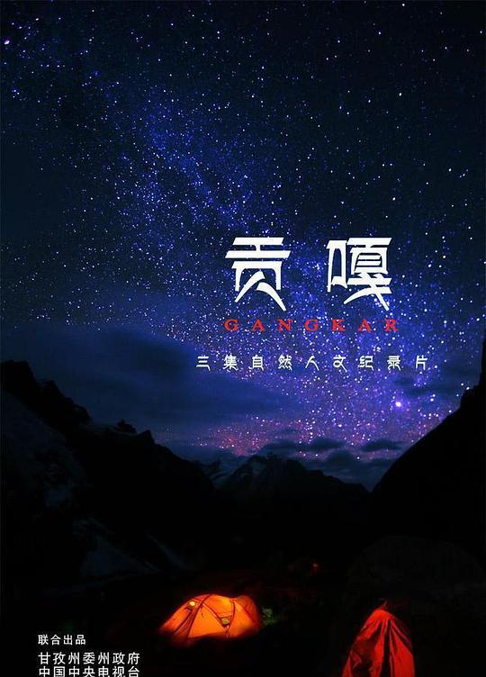 傻子龙婿第二部