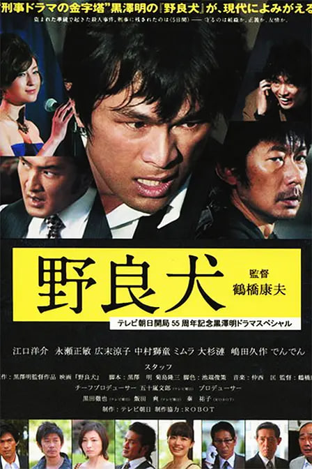 流浪狗野良犬